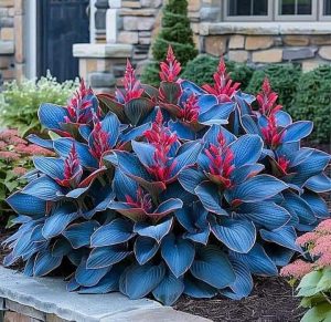 Хоста Грин Фог купить по цене от 669р. в интернет-магазине «Посадика» с доставкой почтой в в Коммунаре и по всей России – [изображение №1].