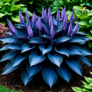 Хоста Сикрет Гров купить по цене от 570р. в интернет-магазине «Посадика» с доставкой почтой в в Коммунаре и по всей России – [изображение №1].