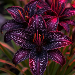 Лилейник Вояж купить по цене от 699р. в интернет-магазине «Посадика» с доставкой почтой в в Коммунаре и по всей России – [изображение №1].